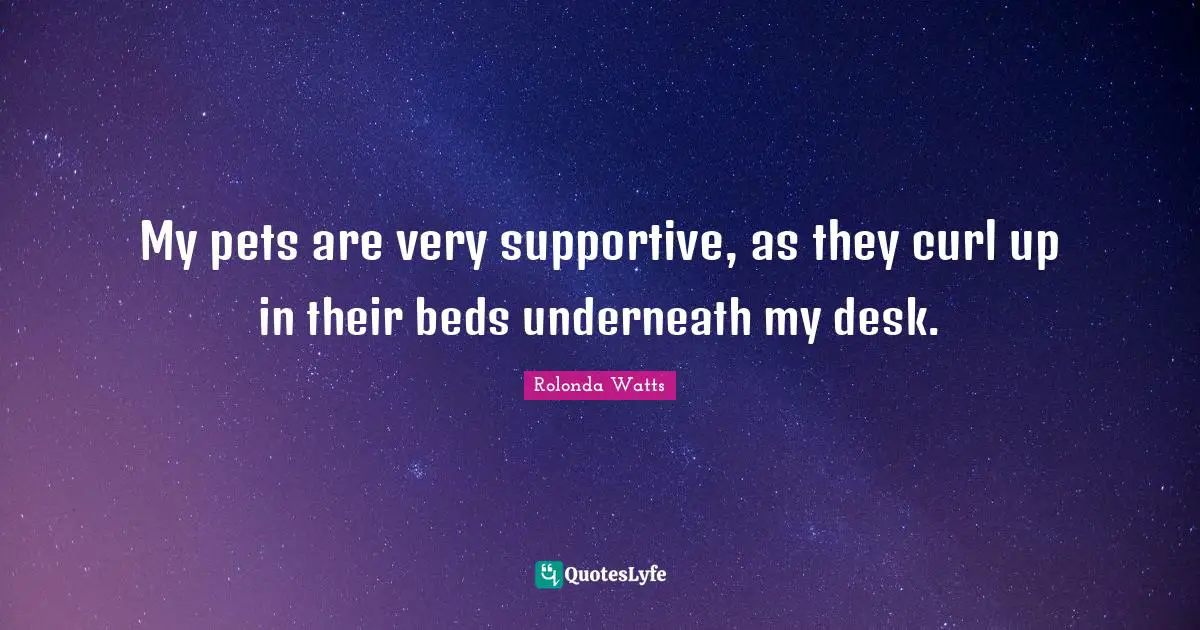 My pets are very supportive, as they curl up in their beds underneath my desk.