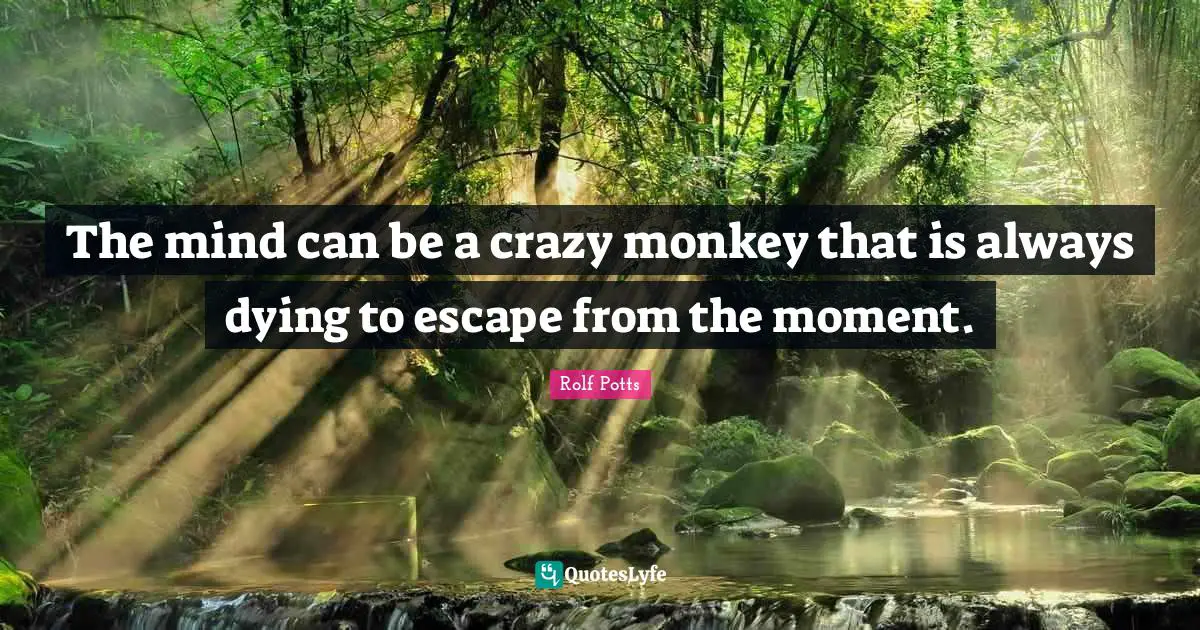 The mind can be a crazy monkey that is always dying to escape from the moment.