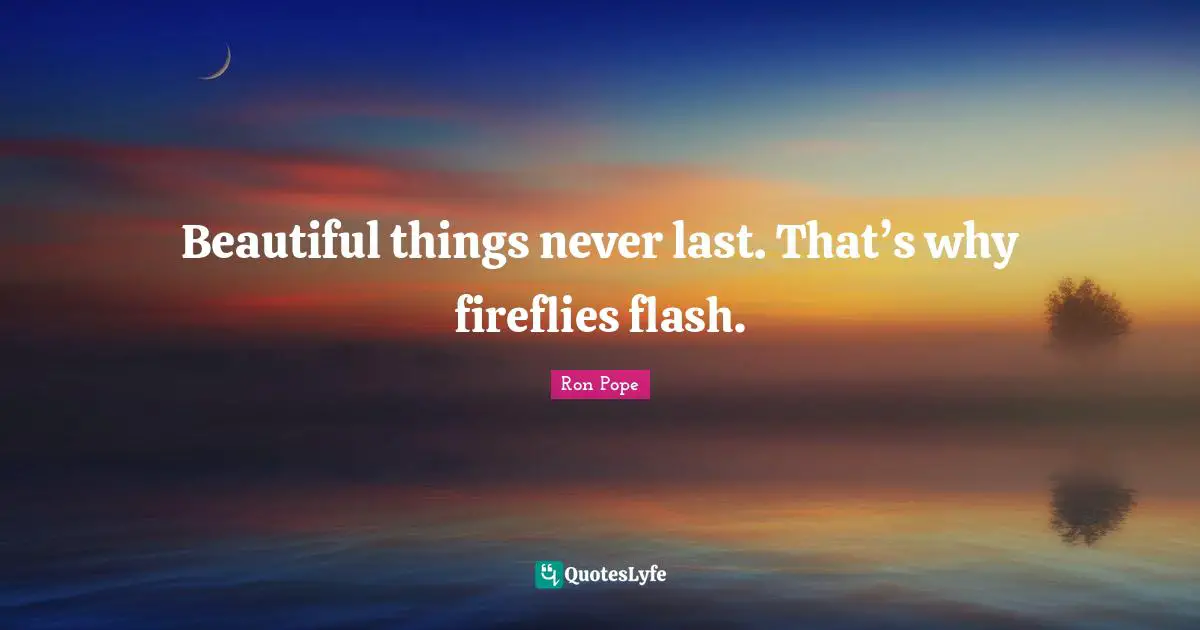 Beautiful things never last. That’s why fireflies flash.