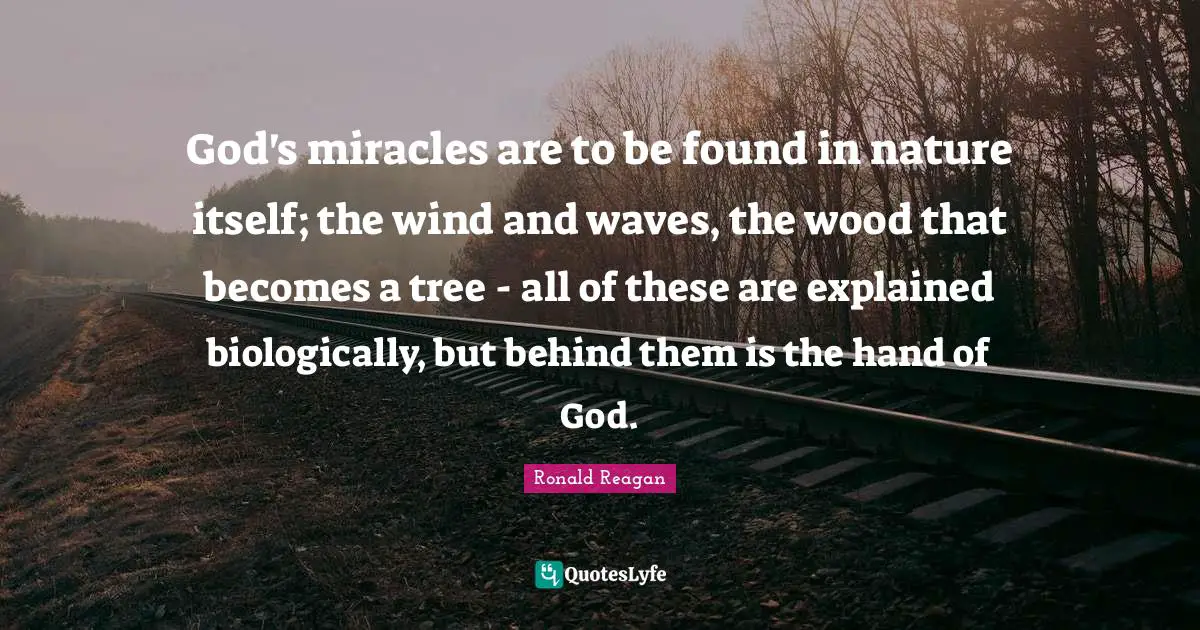 God's miracles are to be found in nature itself; the wind and waves, the wood that becomes a tree - all of these are explained biologically, but behind them is the hand of God.