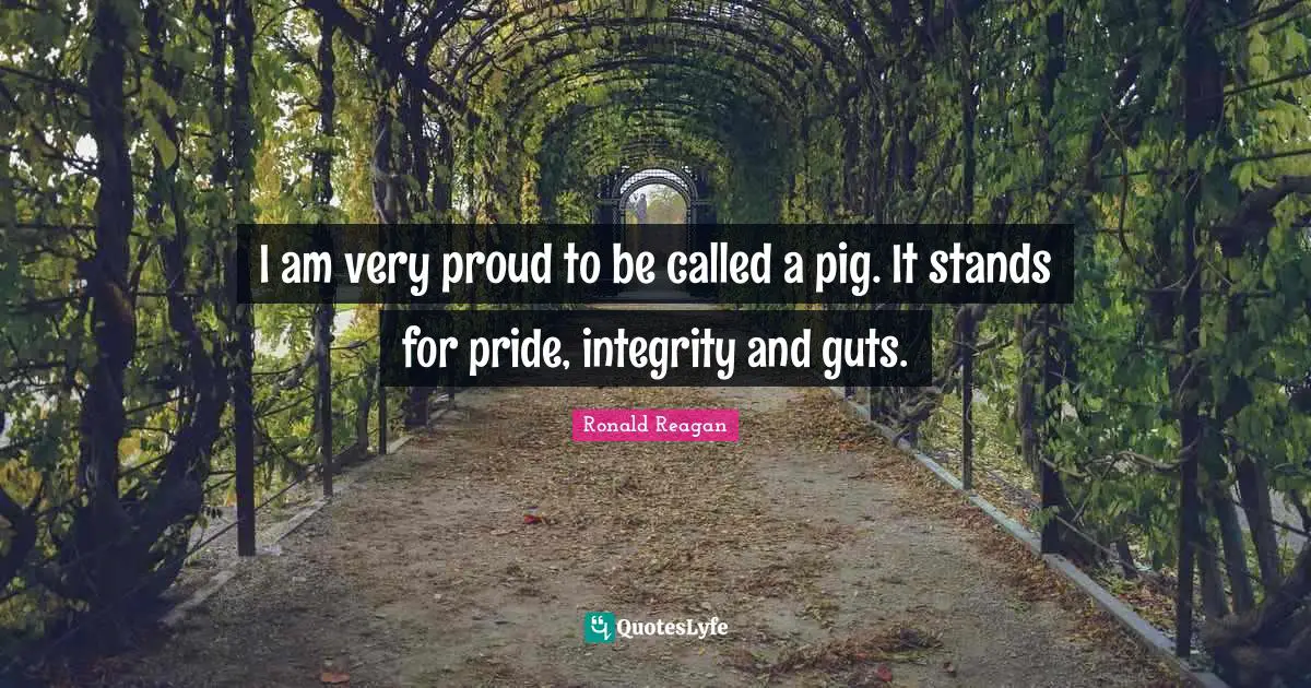 I am very proud to be called a pig. It stands for pride, integrity and guts.