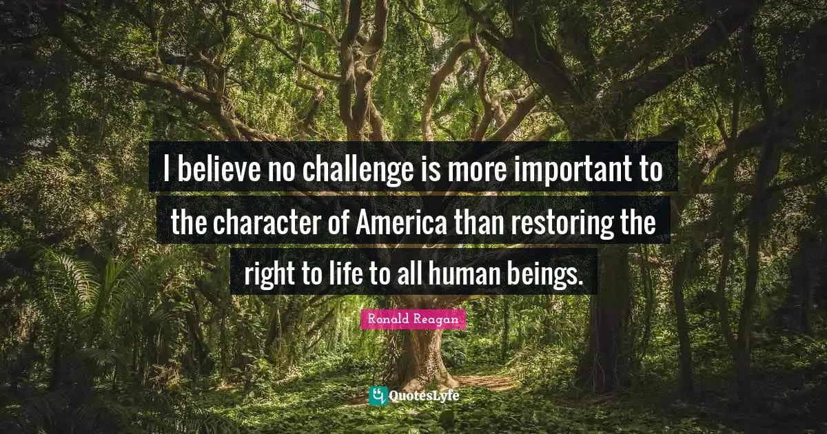 I believe no challenge is more important to the character of America than restoring the right to life to all human beings.