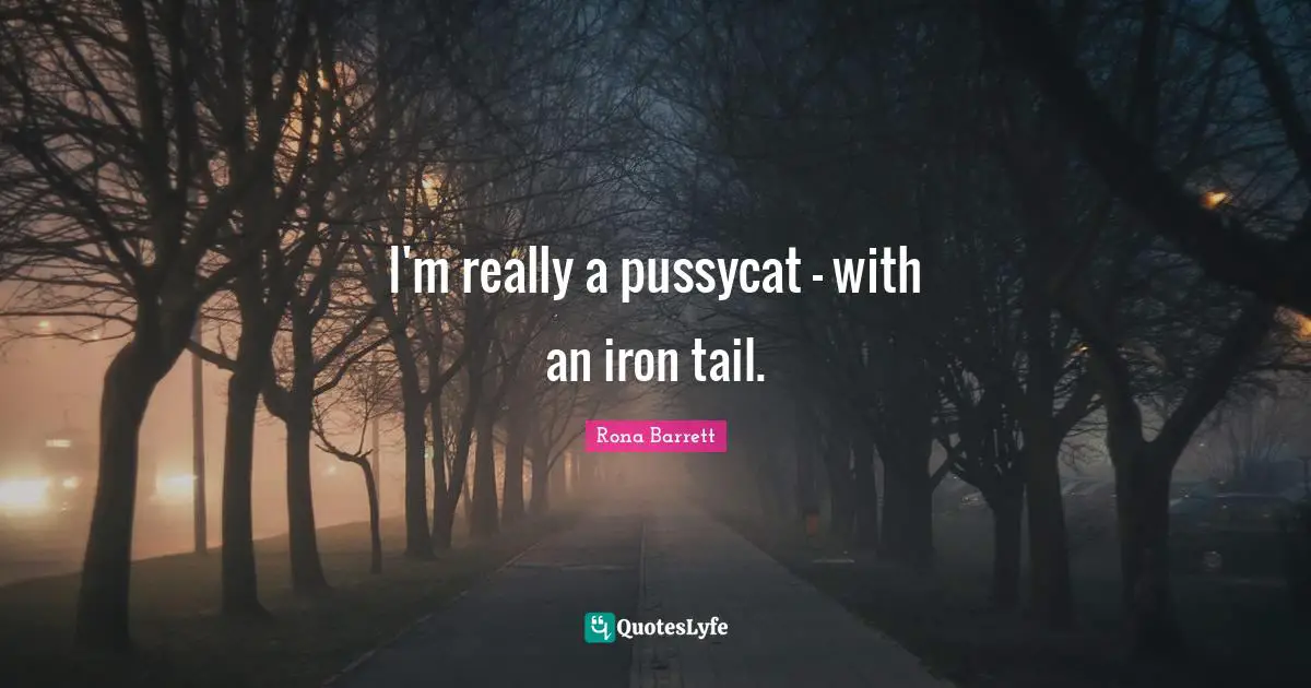 I'm really a pussycat - with an iron tail.