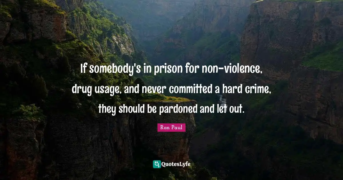 If somebody's in prison for non-violence, drug usage, and never committed a hard crime, they should be pardoned and let out.