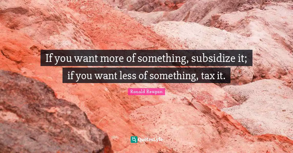 If you want more of something, subsidize it; if you want less of something, tax it.