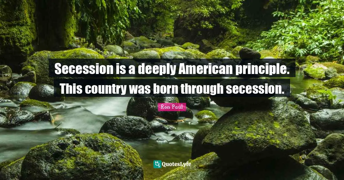 Secession is a deeply American principle. This country was born through secession.