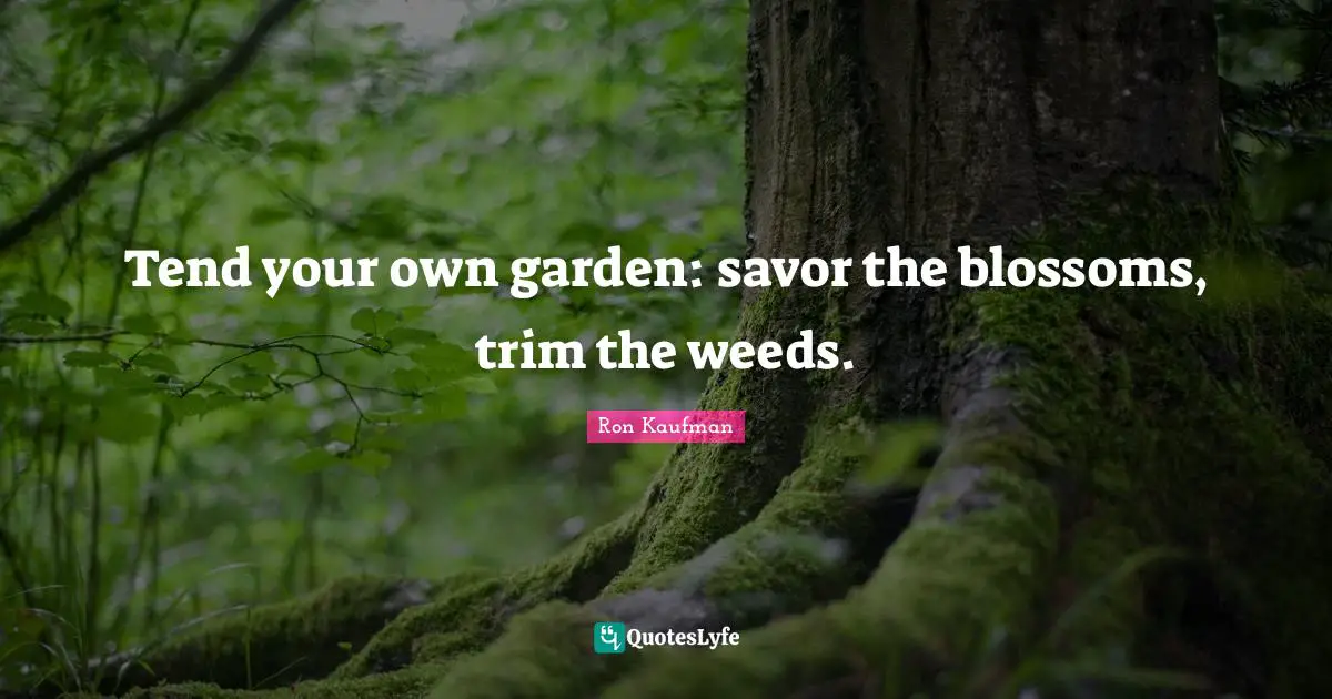 Tend your own garden: savor the blossoms, trim the weeds.
