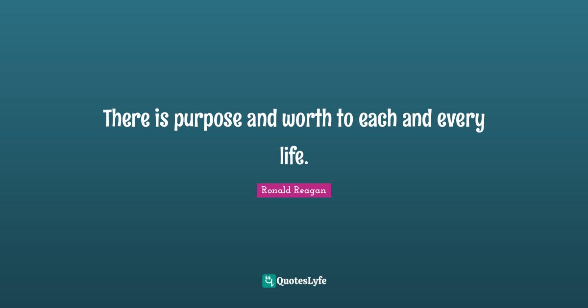 Purpose Life Quotes: "There is purpose and worth to each and every life."