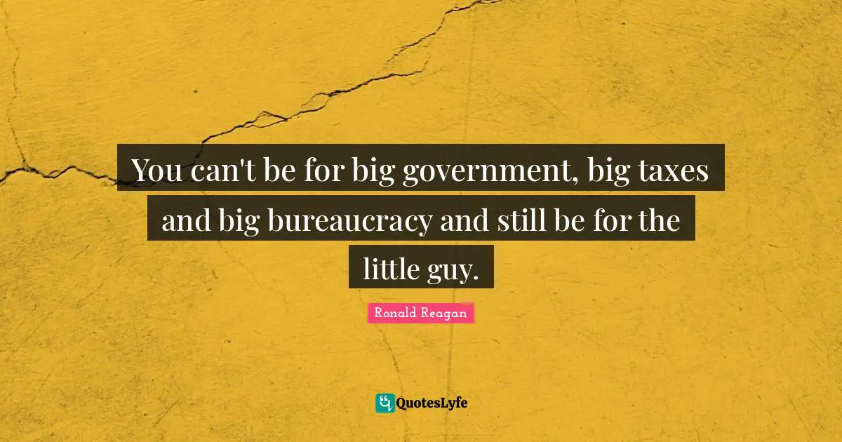 Bureaucracy Quotes: "You can't be for big government, big taxes and big bureaucracy and still be for the little guy."