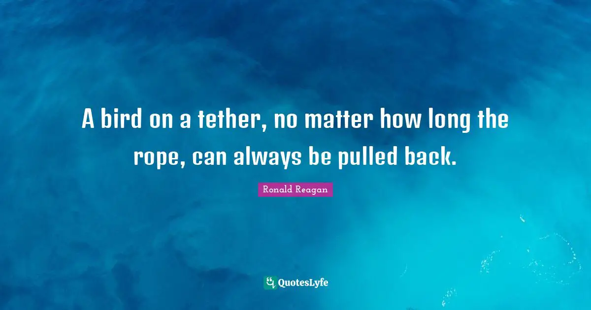 A bird on a tether, no matter how long the rope, can always be pulled back.