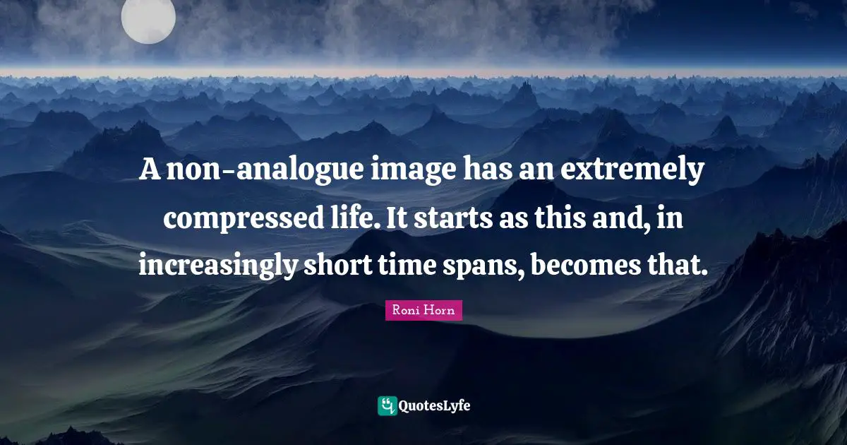A non-analogue image has an extremely compressed life. It starts as this and, in increasingly short time spans, becomes that.