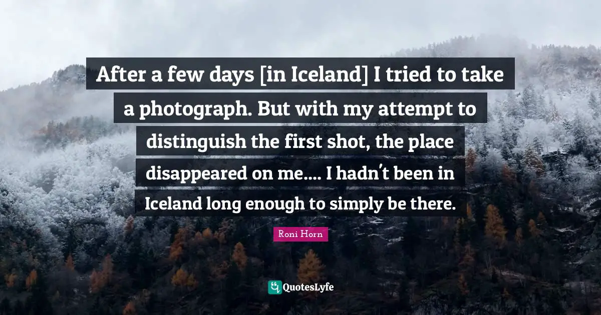After a few days [in Iceland] I tried to take a photograph. But with my attempt to distinguish the first shot, the place disappeared on me.... I hadn't been in Iceland long enough to simply be there.