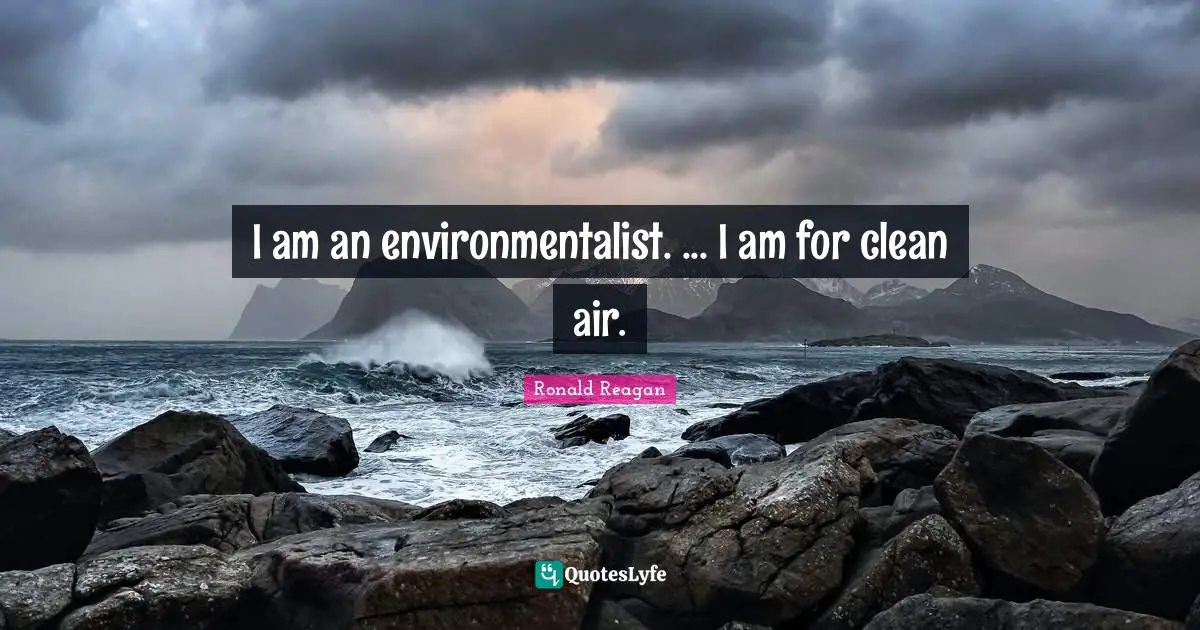 I am an environmentalist. ... I am for clean air.