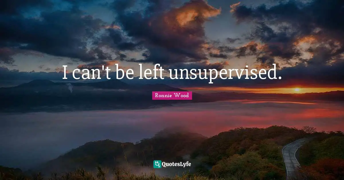 I can't be left unsupervised.