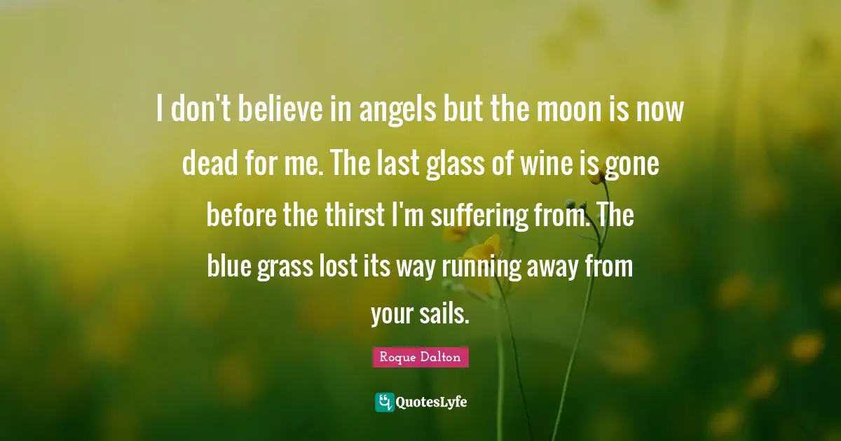 I don't believe in angels but the moon is now dead for me. The last glass of wine is gone before the thirst I'm suffering from. The blue grass lost its way running away from your sails.