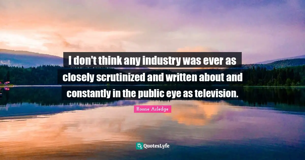 I don't think any industry was ever as closely scrutinized and written about and constantly in the public eye as television.