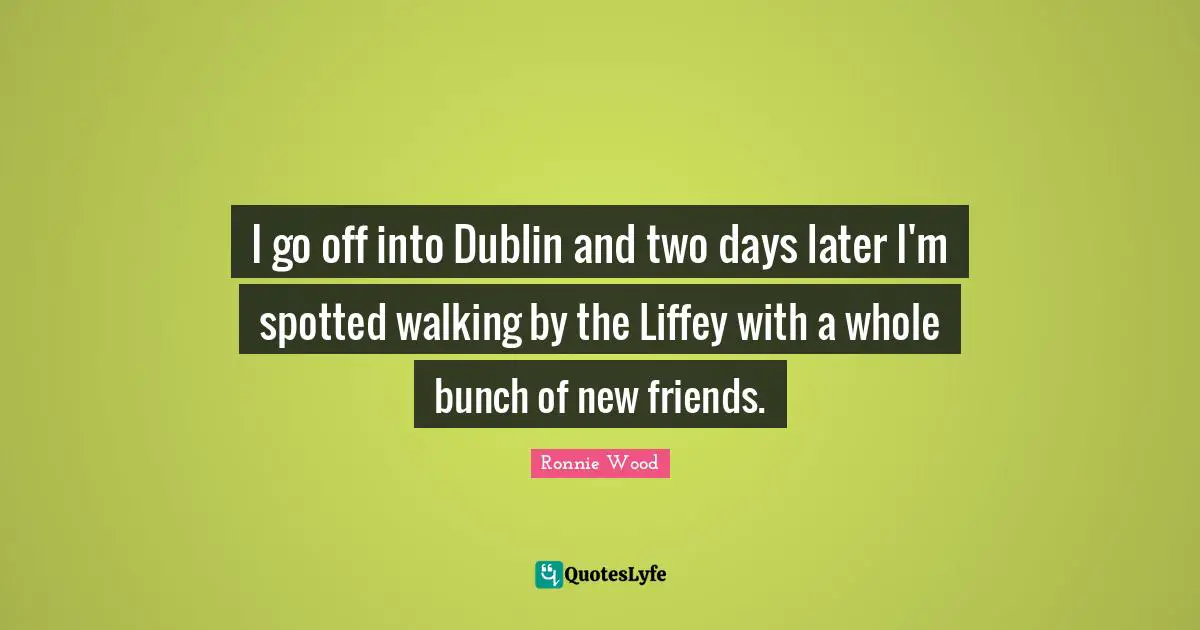 I go off into Dublin and two days later I'm spotted walking by the Liffey with a whole bunch of new friends.