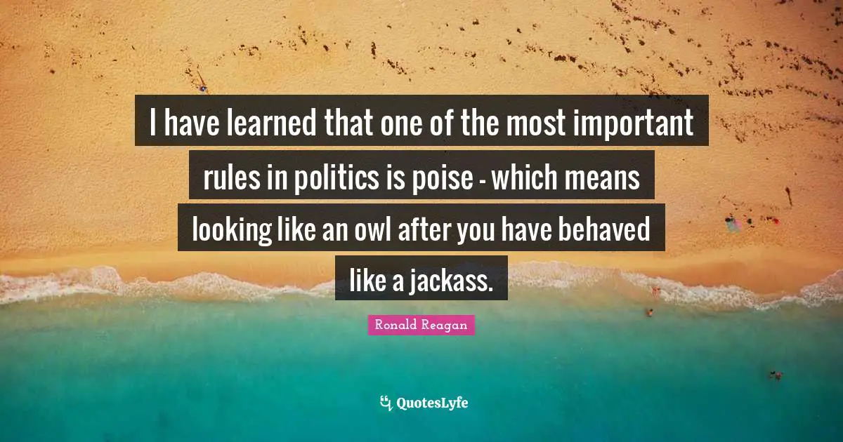 I have learned that one of the most important rules in politics is poise - which means looking like an owl after you have behaved like a jackass.