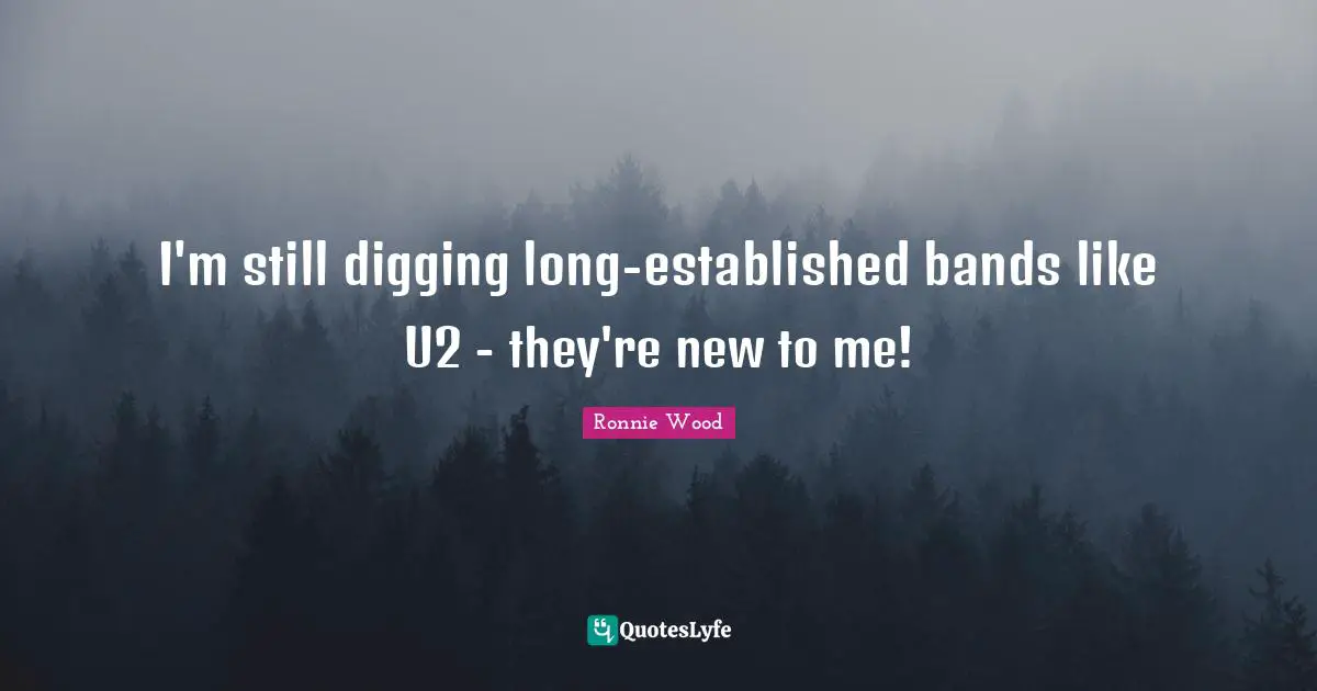 I'm still digging long-established bands like U2 - they're new to me!