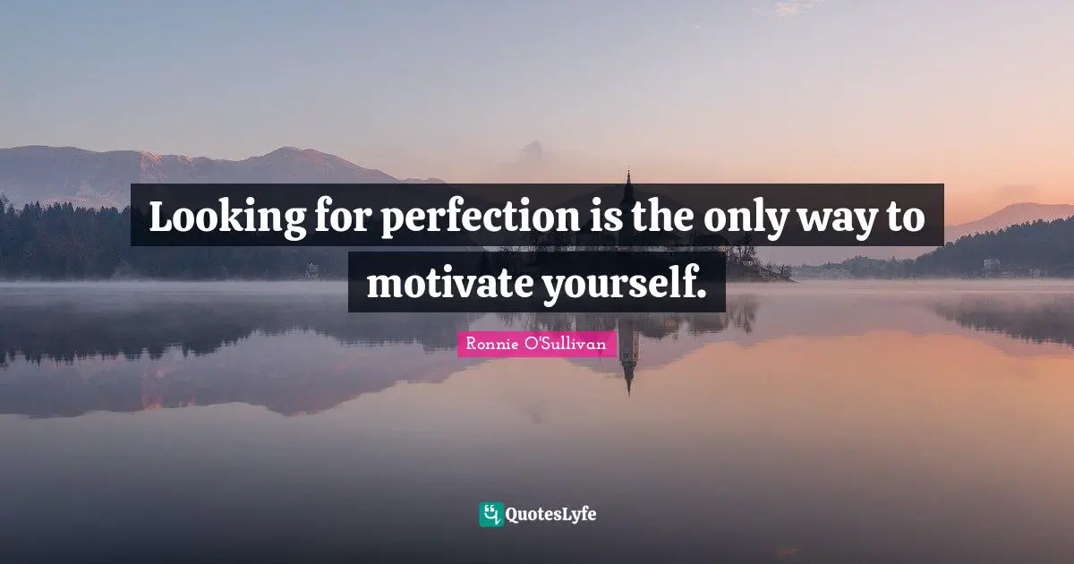 Perfection Quotes: "Looking for perfection is the only way to motivate yourself."