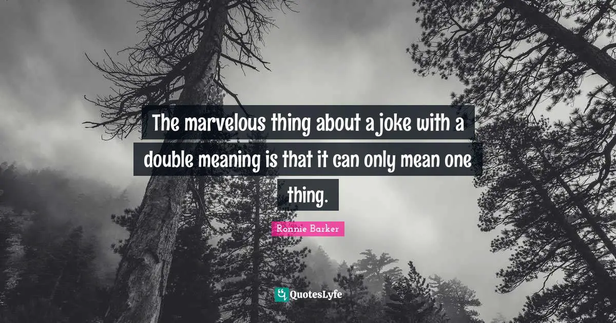 The marvelous thing about a joke with a double meaning is that it can only mean one thing.