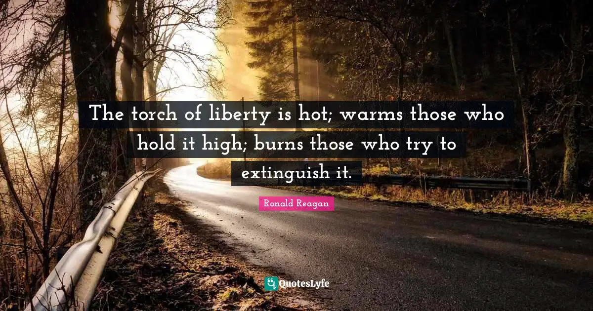 The torch of liberty is hot; warms those who hold it high; burns those who try to extinguish it.