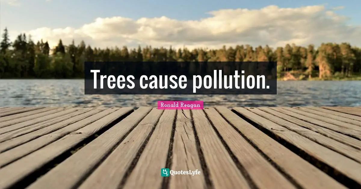 Trees cause pollution.