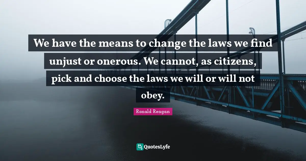 We have the means to change the laws we find unjust or onerous. We cannot, as citizens, pick and choose the laws we will or will not obey.