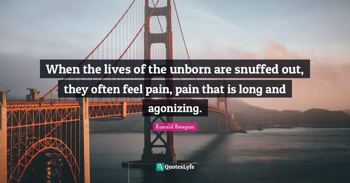 When the lives of the unborn are snuffed out, they often feel pain, pain that is long and agonizing.
