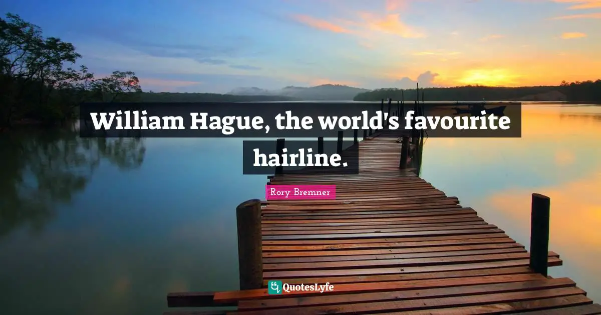 William Hague, the world's favourite hairline.