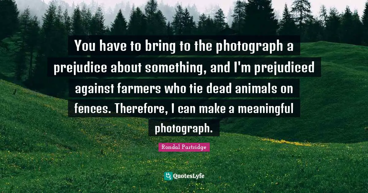 You have to bring to the photograph a prejudice about something, and I'm prejudiced against farmers who tie dead animals on fences. Therefore, I can make a meaningful photograph.