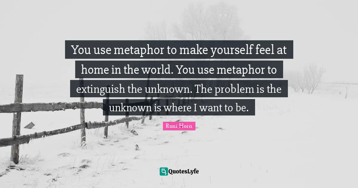 You use metaphor to make yourself feel at home in the world. You use metaphor to extinguish the unknown. The problem is the unknown is where I want to be.