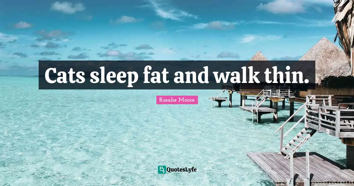 Cats sleep fat and walk thin.