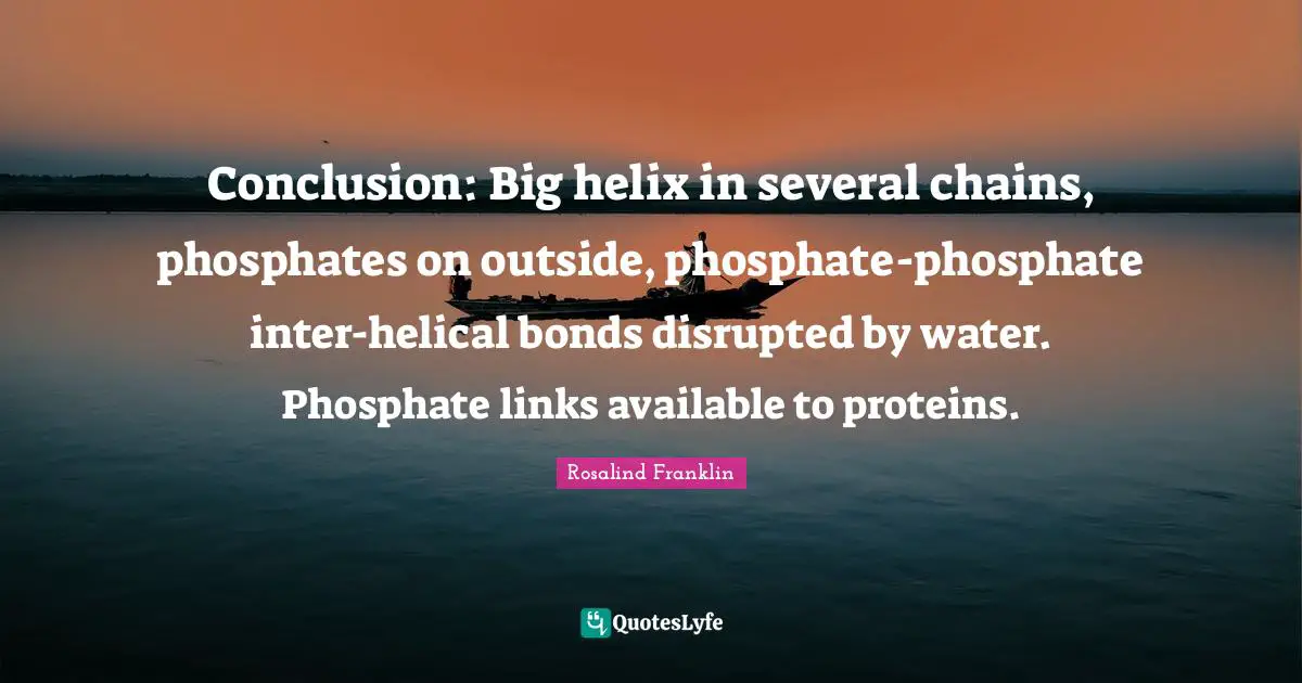 Links Quotes: "Conclusion: Big helix in several chains, phosphates on outside, phosphate-phosphate inter-helical bonds disrupted by water. Phosphate links available to proteins."