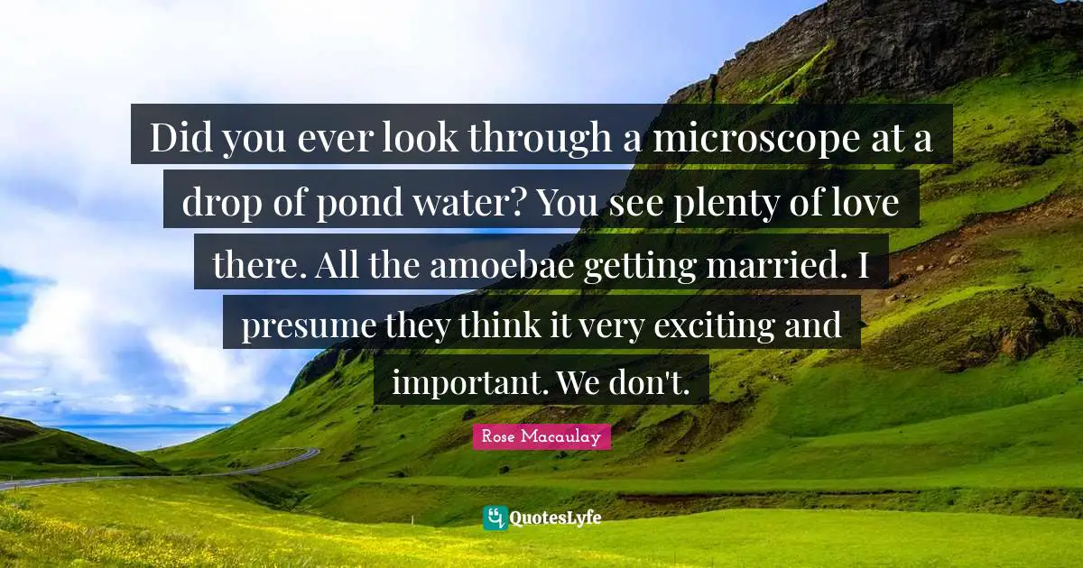Did you ever look through a microscope at a drop of pond water? You see plenty of love there. All the amoebae getting married. I presume they think it very exciting and important. We don't.