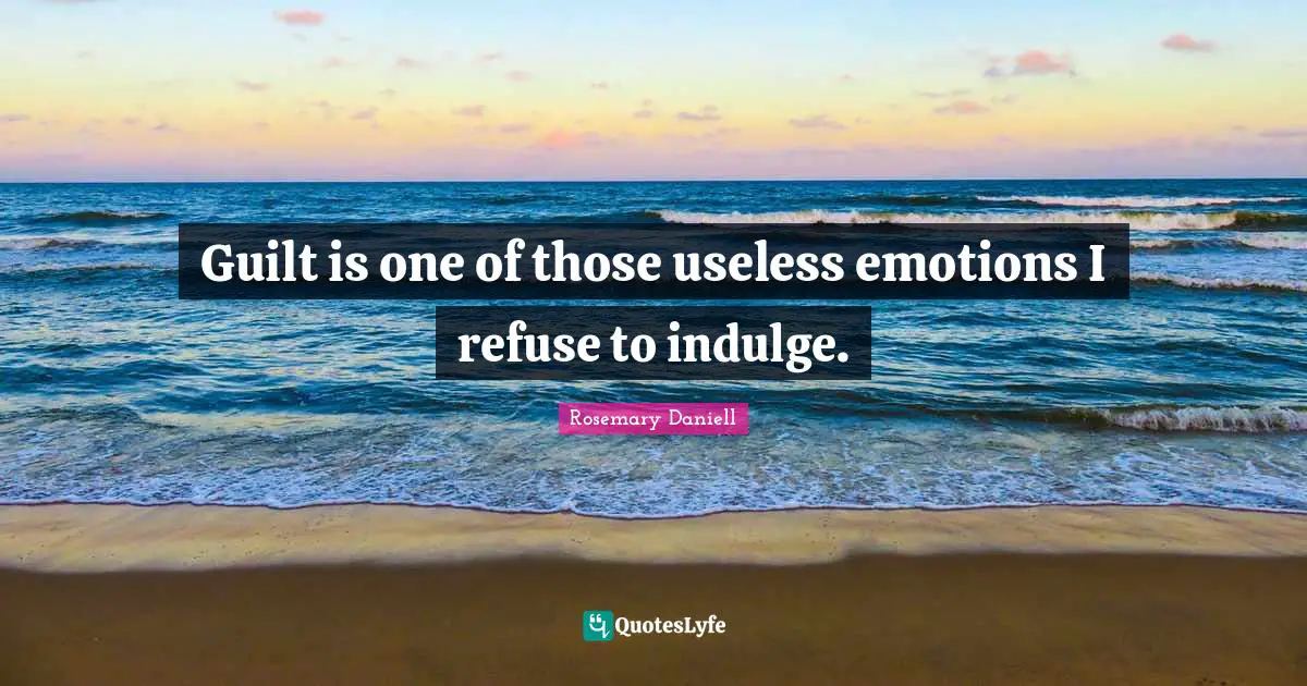 Guilt is one of those useless emotions I refuse to indulge.