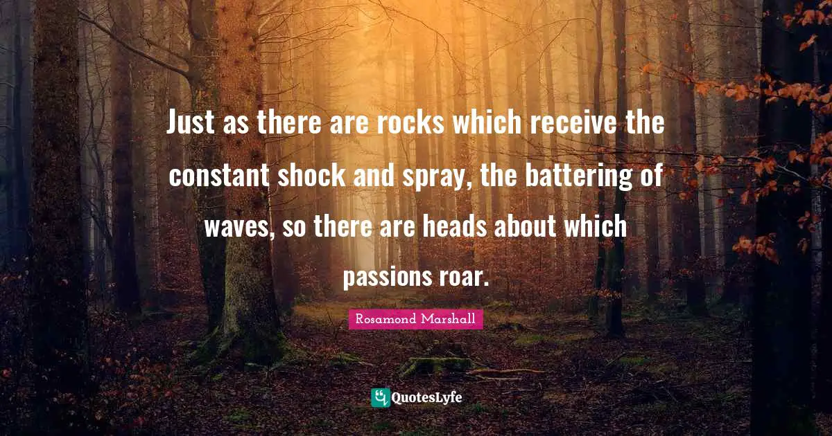 Just as there are rocks which receive the constant shock and spray, the battering of waves, so there are heads about which passions roar.