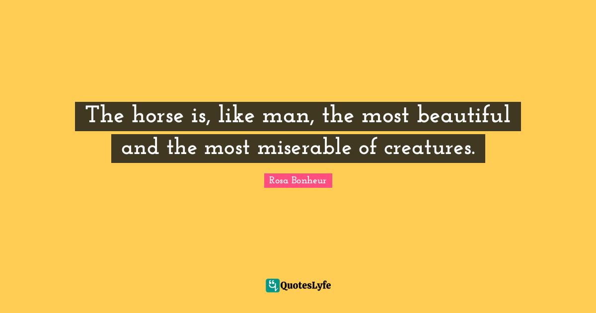 The horse is, like man, the most beautiful and the most miserable of creatures.