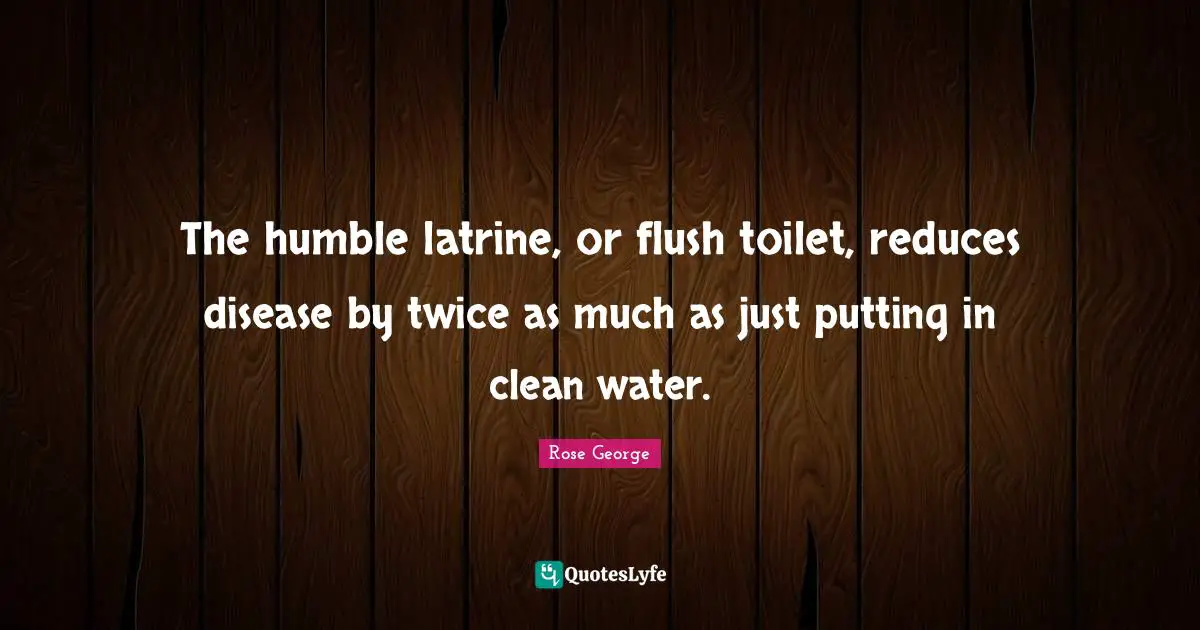 The humble latrine, or flush toilet, reduces disease by twice as much as just putting in clean water.