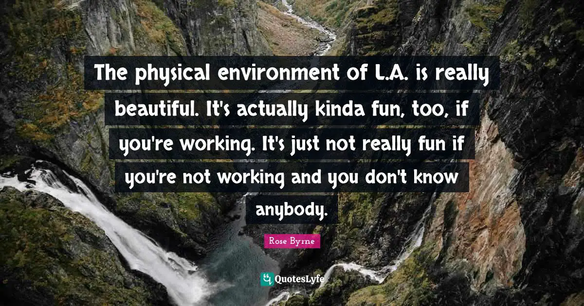 The physical environment of L.A. is really beautiful. It's actually kinda fun, too, if you're working. It's just not really fun if you're not working and you don't know anybody.