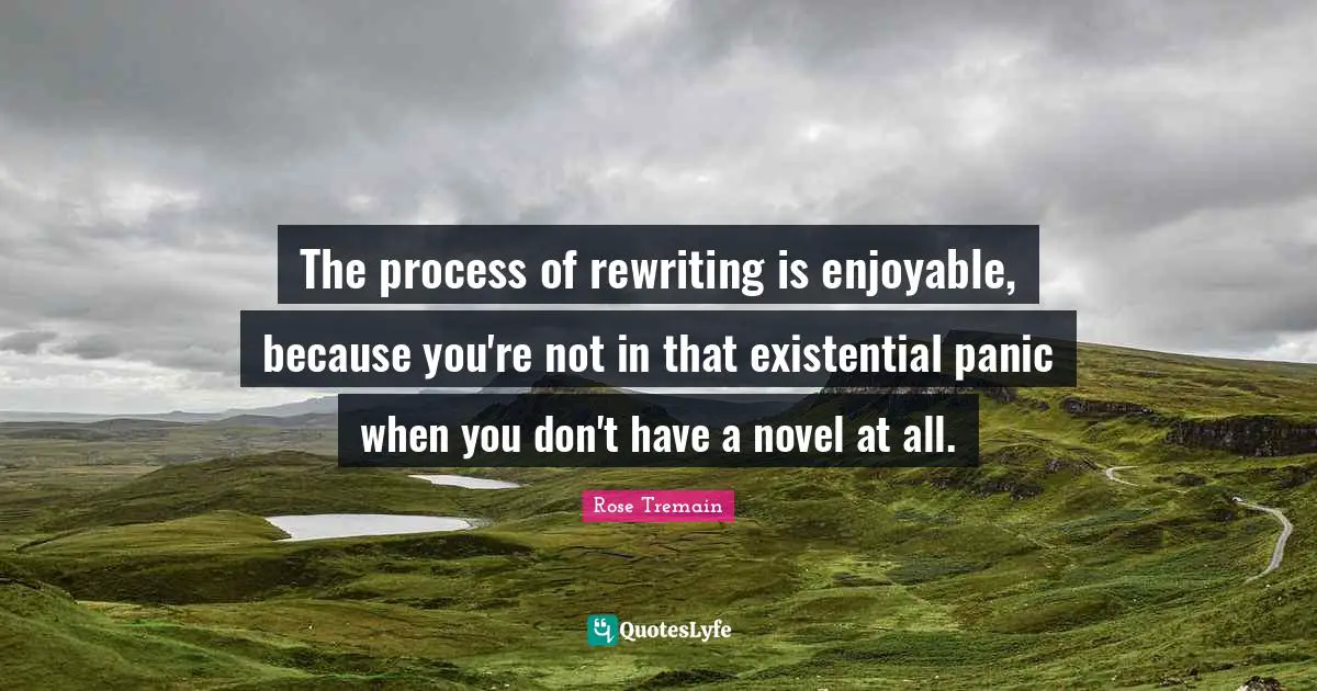 The process of rewriting is enjoyable, because you're not in that existential panic when you don't have a novel at all.