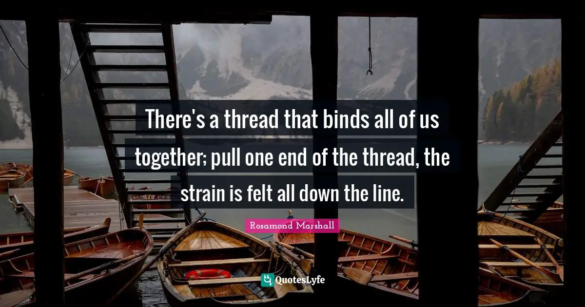 There's a thread that binds all of us together; pull one end of the thread, the strain is felt all down the line.