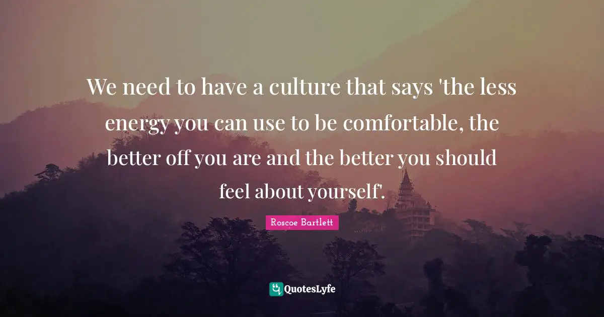 We need to have a culture that says 'the less energy you can use to be comfortable, the better off you are and the better you should feel about yourself'.