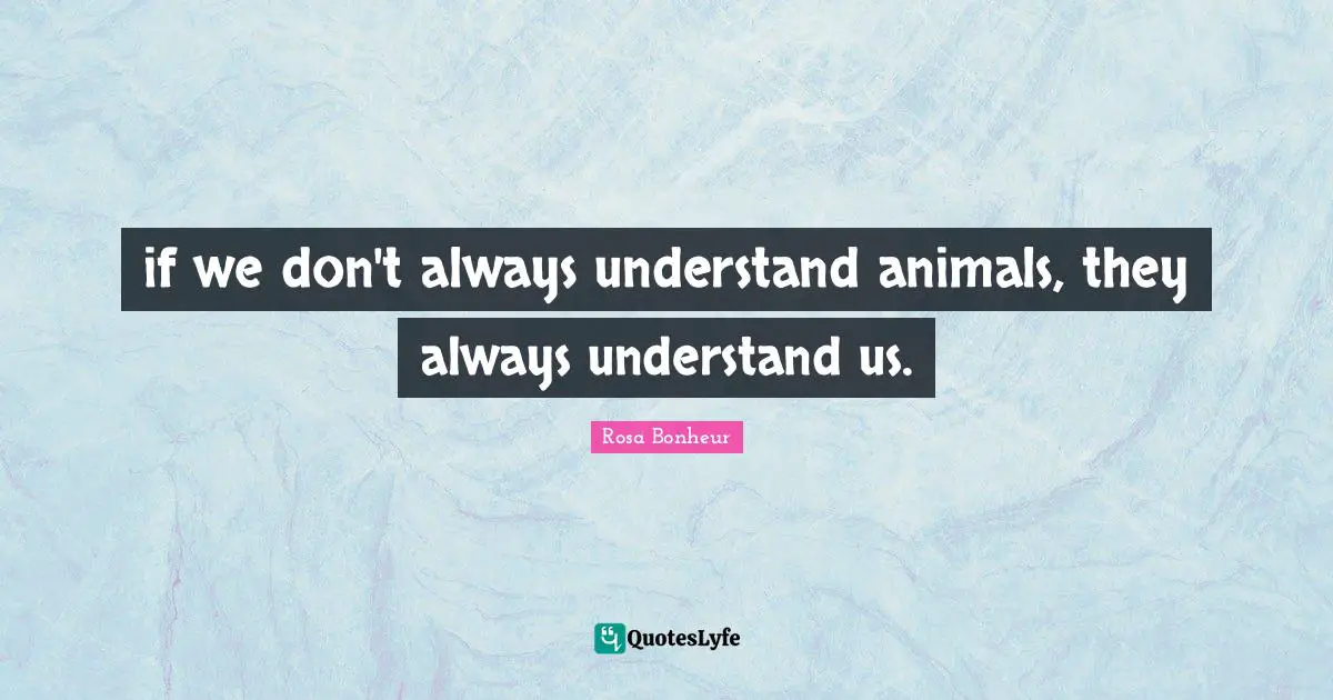 if we don't always understand animals, they always understand us.