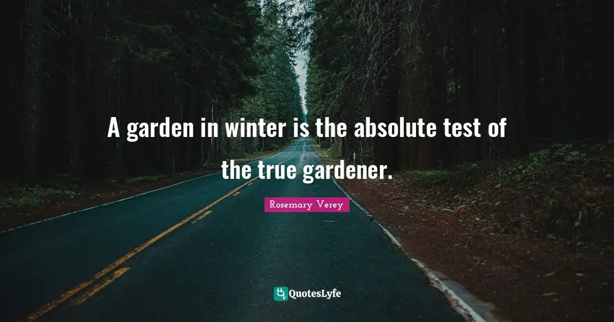 Rosemary Verey Quotes: "A garden in winter is the absolute test of the true gardener."