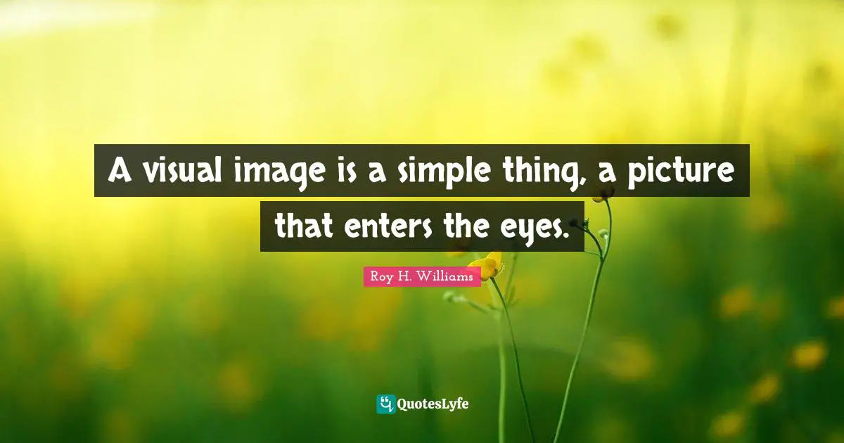 A visual image is a simple thing, a picture that enters the eyes.
