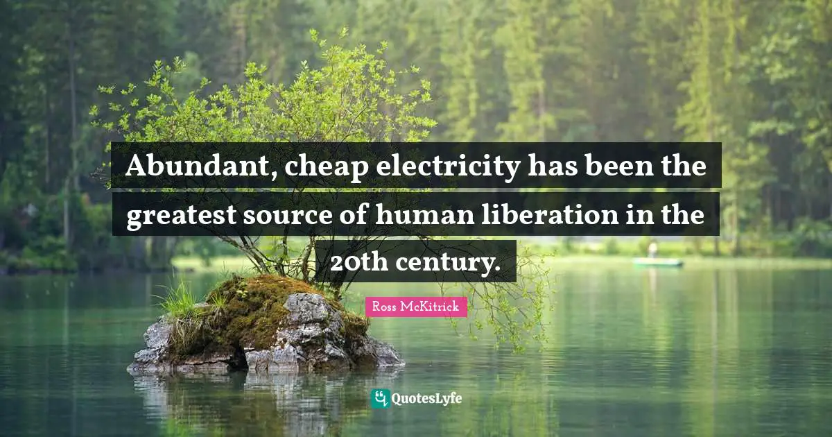 Abundant, cheap electricity has been the greatest source of human liberation in the 20th century.