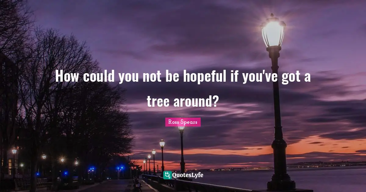 How could you not be hopeful if you've got a tree around?