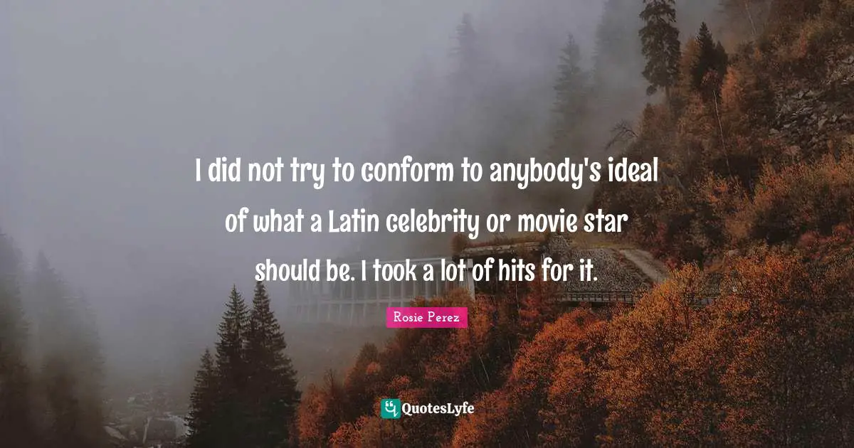 I did not try to conform to anybody's ideal of what a Latin celebrity or movie star should be. I took a lot of hits for it.