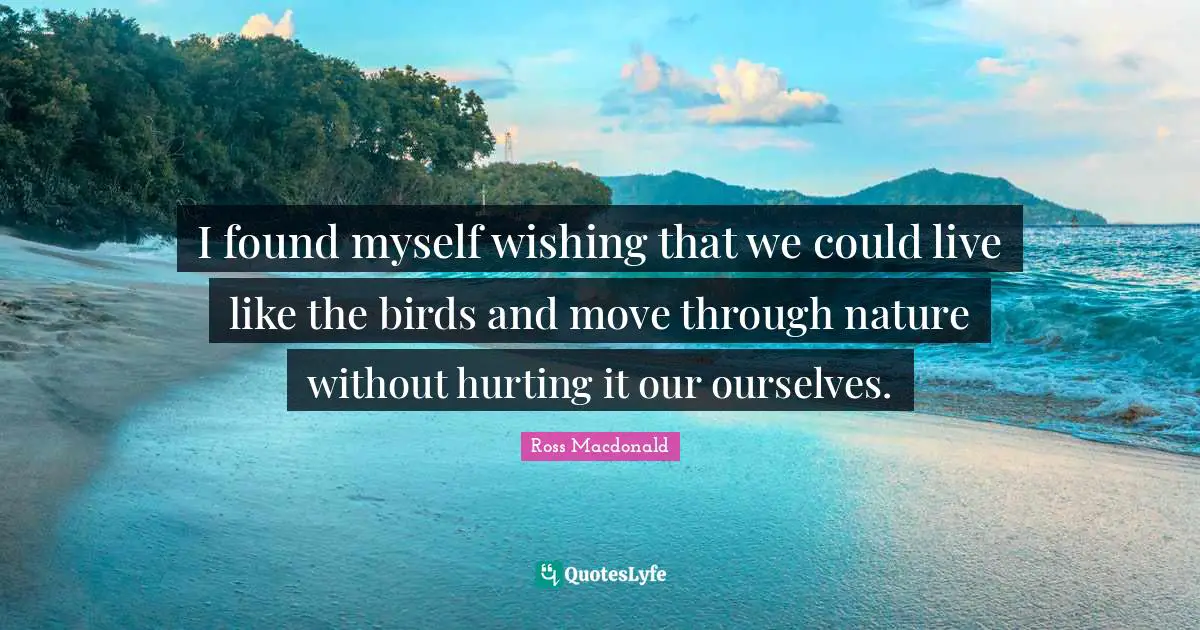 I found myself wishing that we could live like the birds and move through nature without hurting it our ourselves.